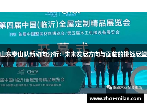 山东泰山队新动向分析：未来发展方向与面临的挑战展望