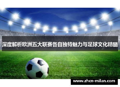 深度解析欧洲五大联赛各自独特魅力与足球文化精髓